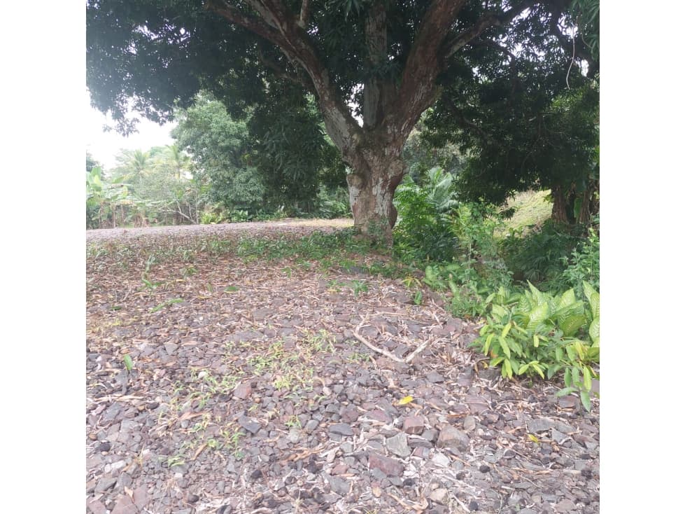 Se vende terreno en Arraiján, Panamá Oeste - 1