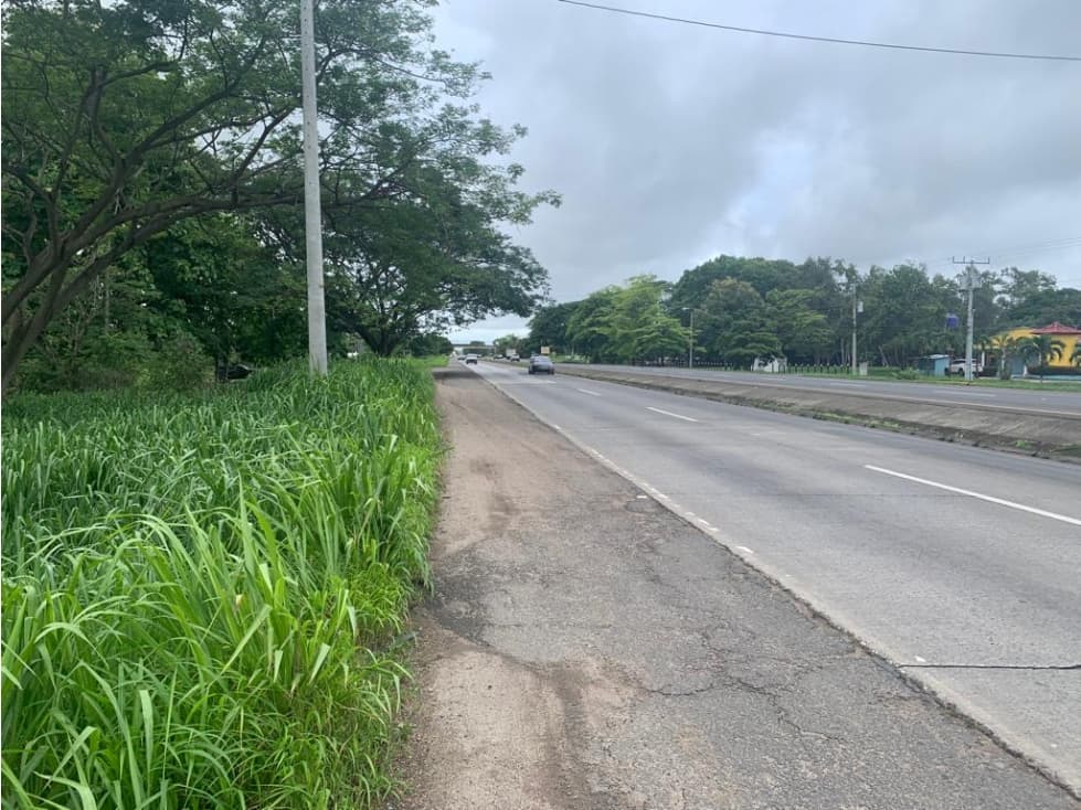 VENDO TERRENO EN PENONOME VIA INTERAMERICANA - 1
