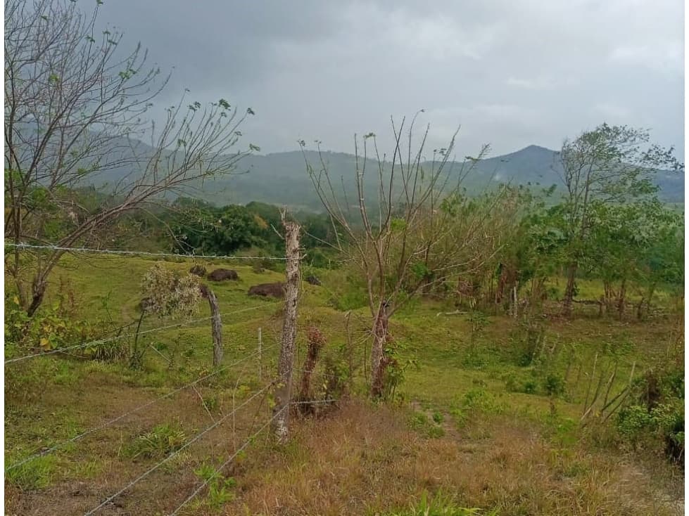 Venta de terreno en Capira - 1