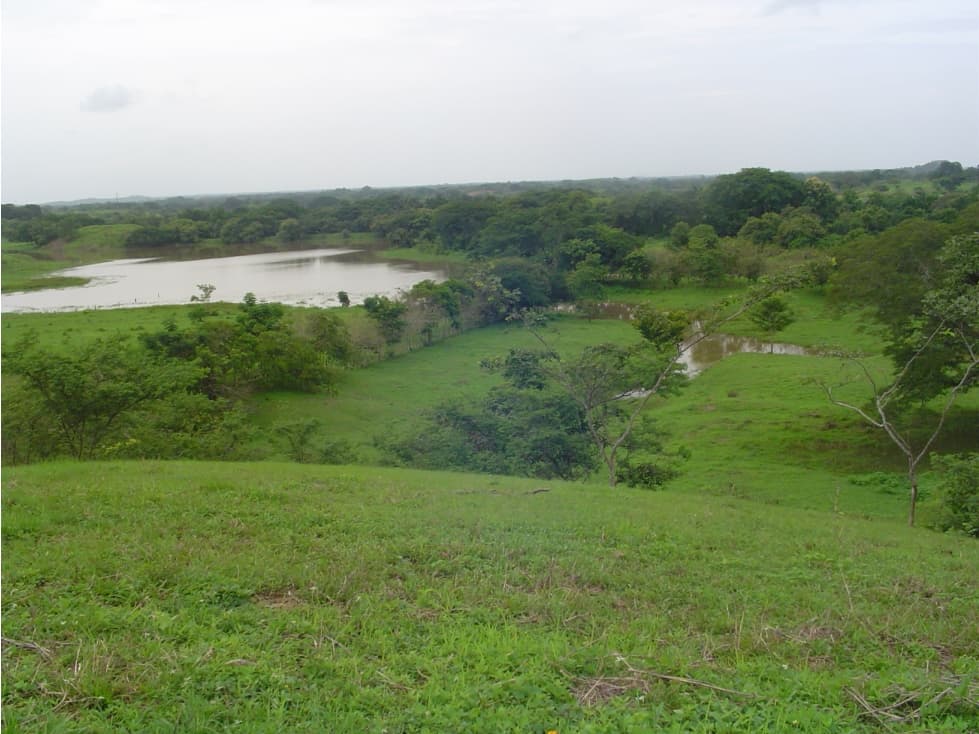 Ganga Negociable - Venta de Finca de 170,000 mts2 en Potuga - Herrera - 1