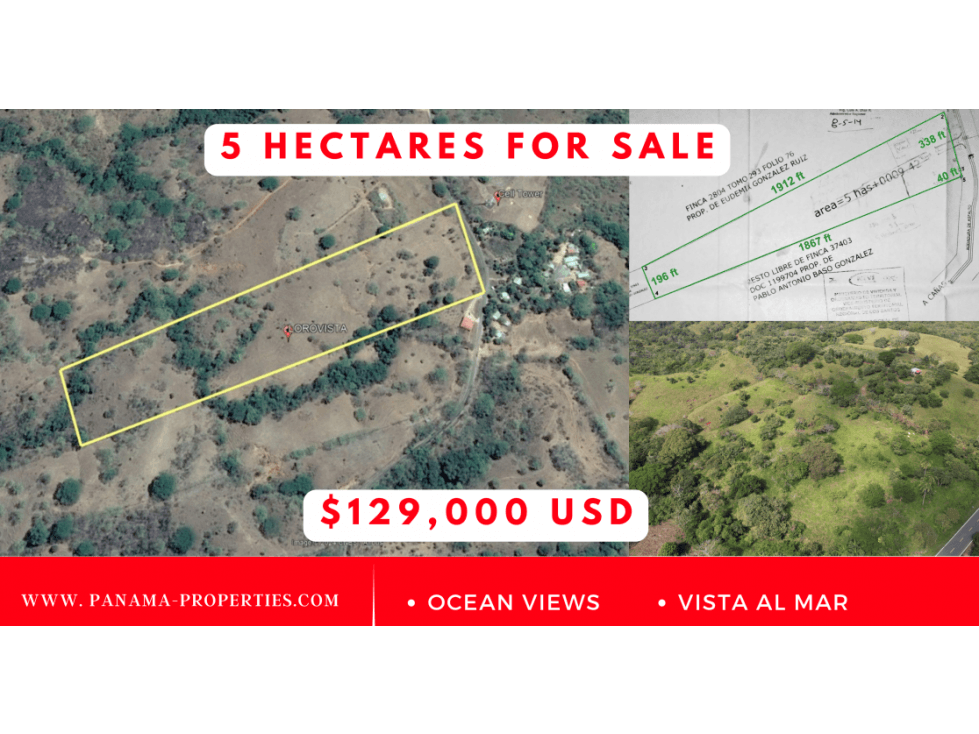 Terreno de Producción Agrícola, 5 Ha., en Los Pozos Playa Venao. - 1