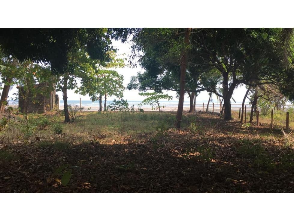Lote en Playa El Nanzal San Lorenzo Chiriqui - 1