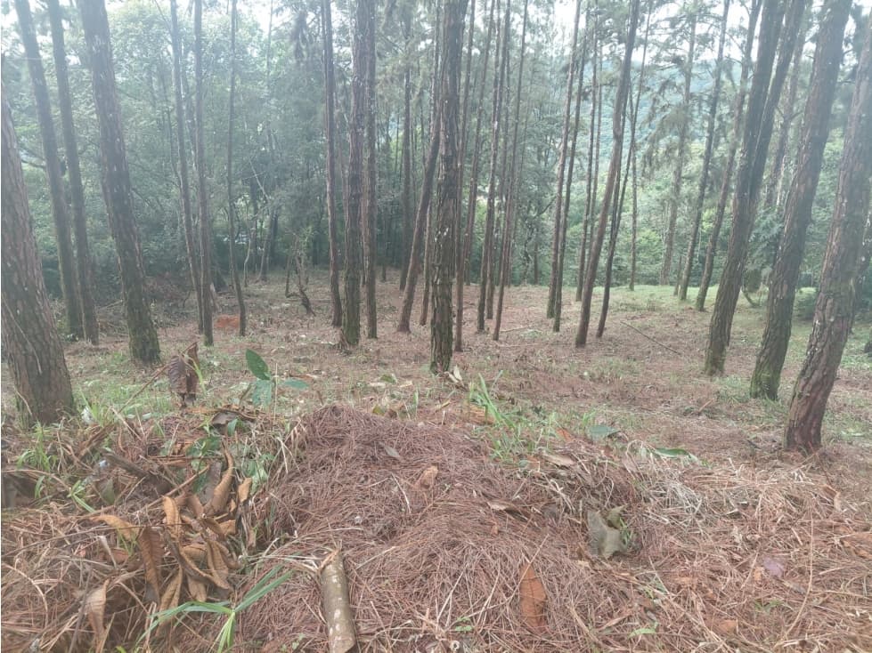 VENDEMOS LOTE EN CERRO AZUL EL PINAR - 1