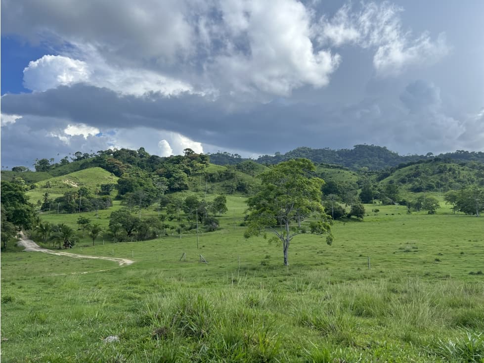 Venta de Finca Agropecuaria en Tortí Chepo - 1