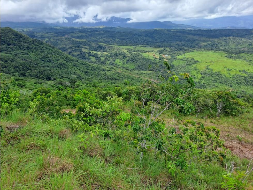 Finca Agro-Ganadera en Venta en Boquete 526 Ha - 1
