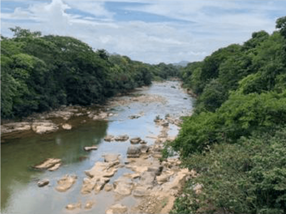 Se vende Finca en Rio Grande, Penonome - 1