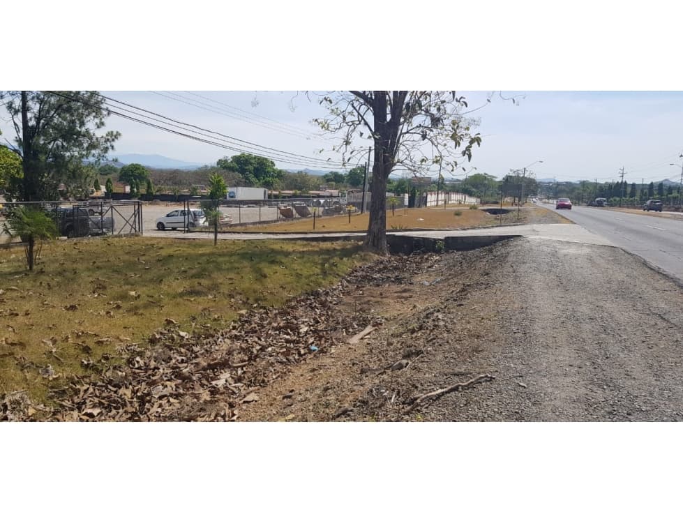 Venta de terreno con oficina en vía interamericana, David, San Pablo - 1