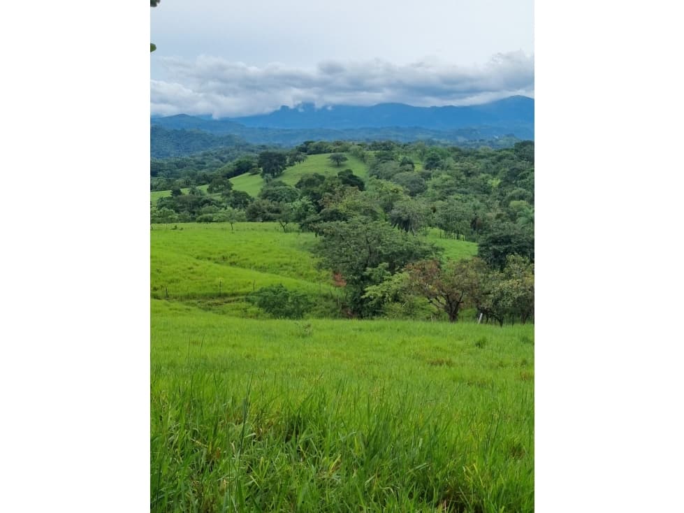 Finca San Lorenzo, Chiriquí (RSdeR) - 1