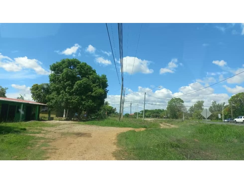 Terreno en venta en El Caño | 1,388 m² sobre vía Panamericana - 1