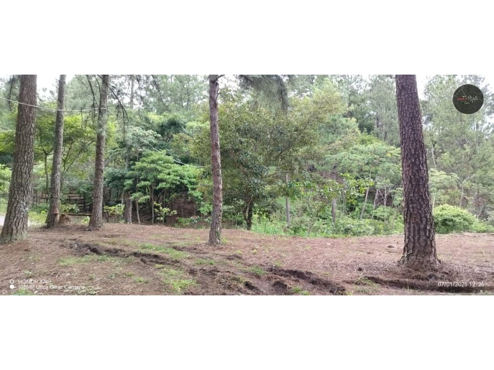 For Sale Land in Hornito Chiriqui/Vendo Tierra en Hornito Chiriquí - 1