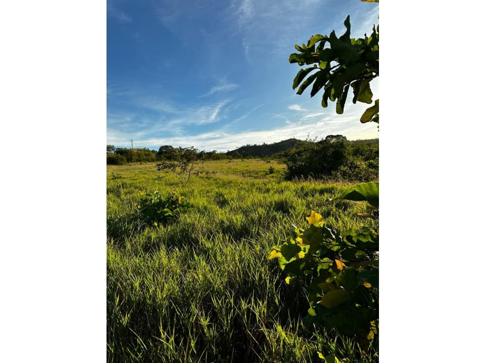 GRAN FINCA Titulada 19 Ha en Las Palmas A 7 km Interamericana - 1