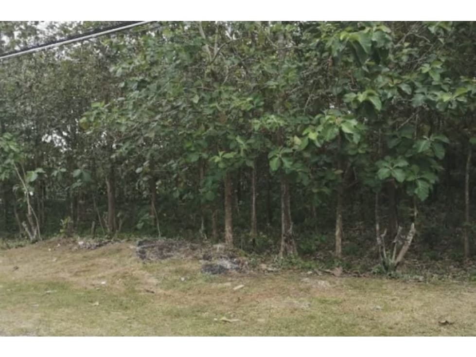 Se vende terreno en Capira, Panamá Oeste ( CG-D) - 1