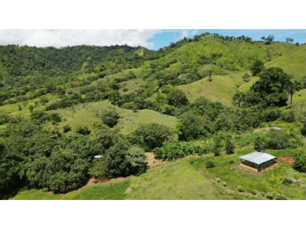 Venta de Terreno en Tonosí Los Santos - 1