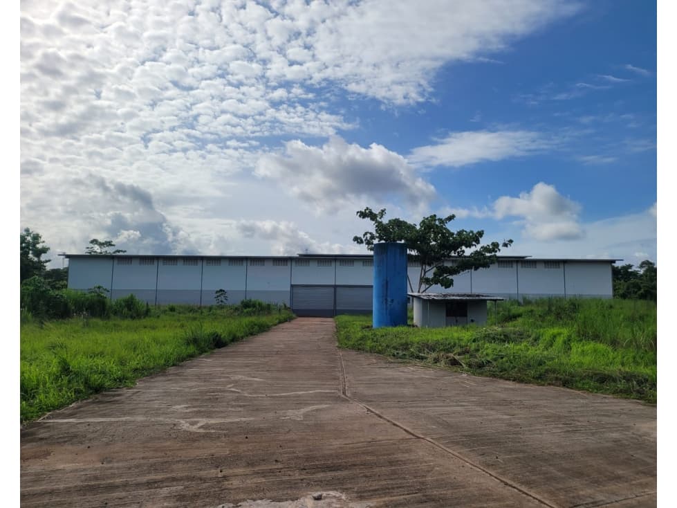 Se Alquila Bodega y Terreno en Nuevo Chorrillo, Arraiján - 1