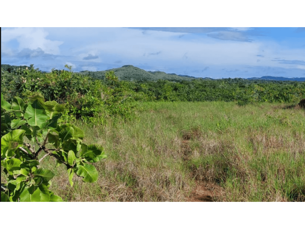 Se Venden Hectáreas en Los Pozos Antón, Coclé - 1