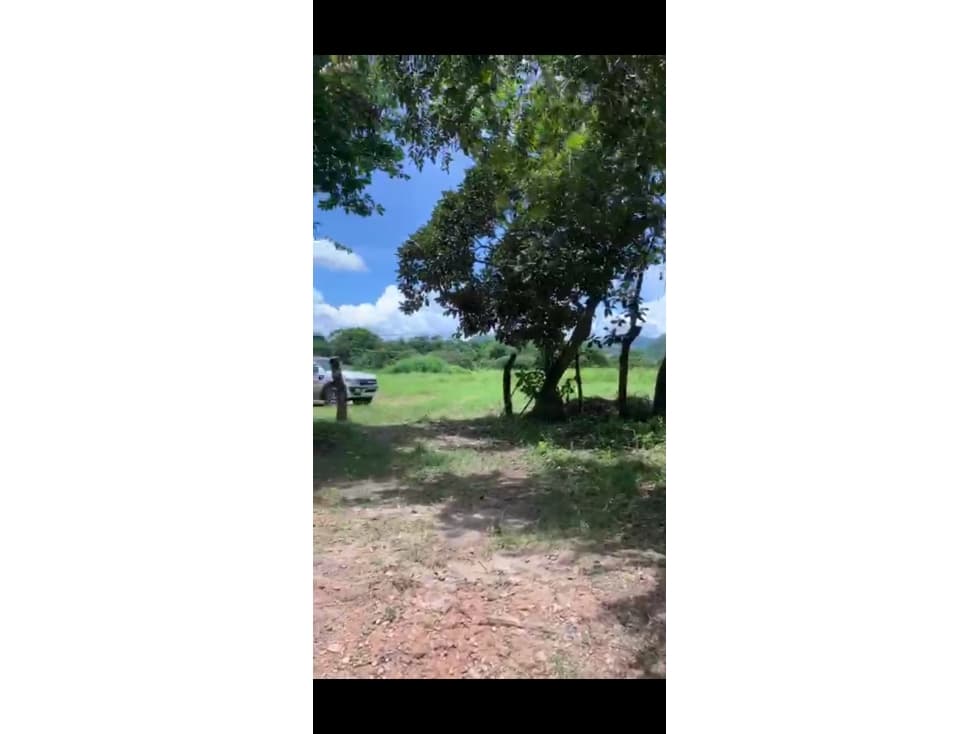 Se vende Terreno de 5 Hectareas en Penonomé - 1
