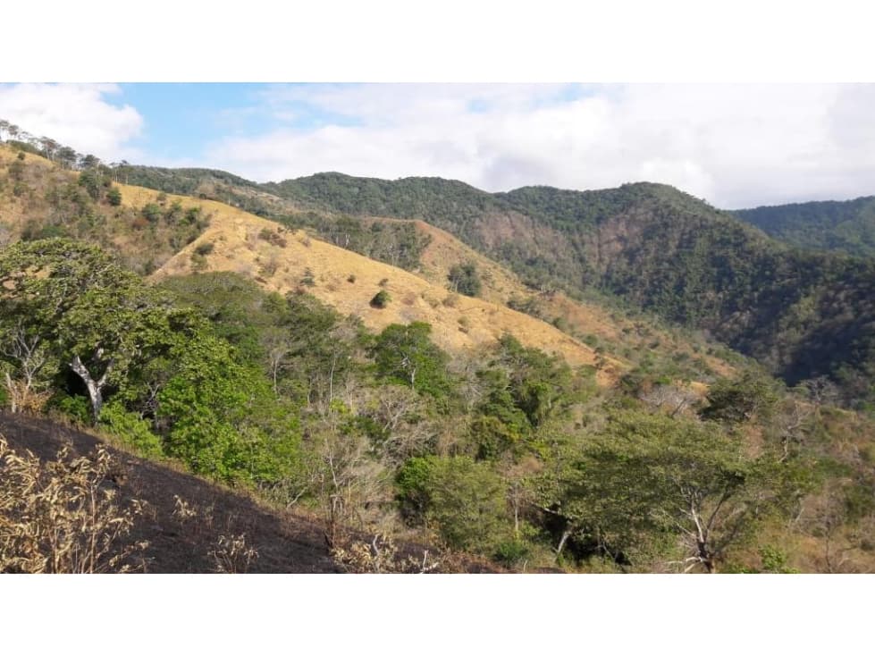 VENDO FINCA GANADERA CAMBUTAL TONOSÍ LOS SANTOS - 1