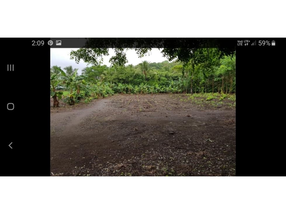 VENDO FINCA DE PLAYA - CAMBUTAL TONOSI LAS TABLAS - 1