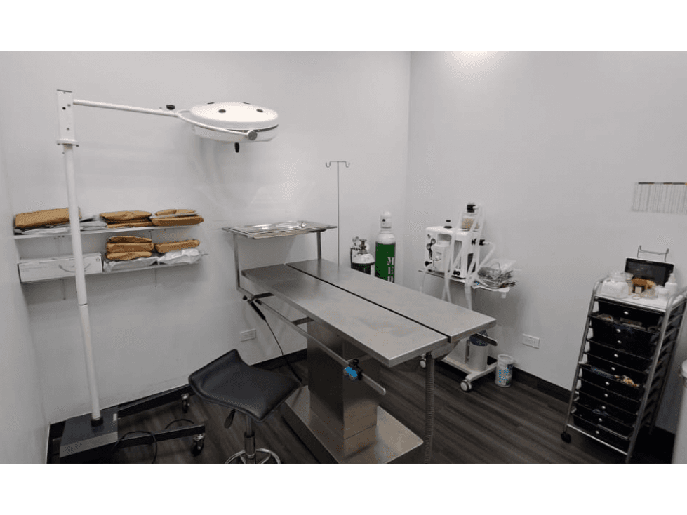 Se Vende Negocio Veterinario en Panamá - 1