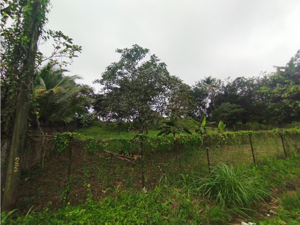 Se vende o alquila terreno en Villalobos, Pedregal - 1