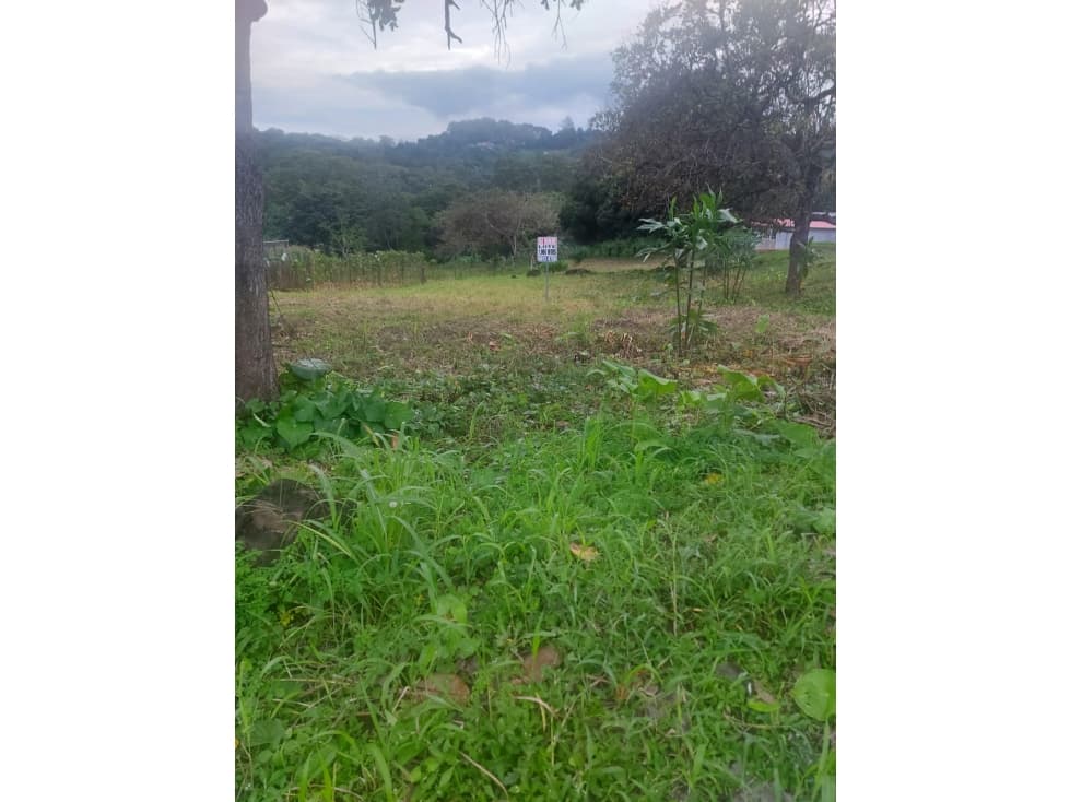 Se vende lote en Cerro Azul, 24 de Diciembre - 1
