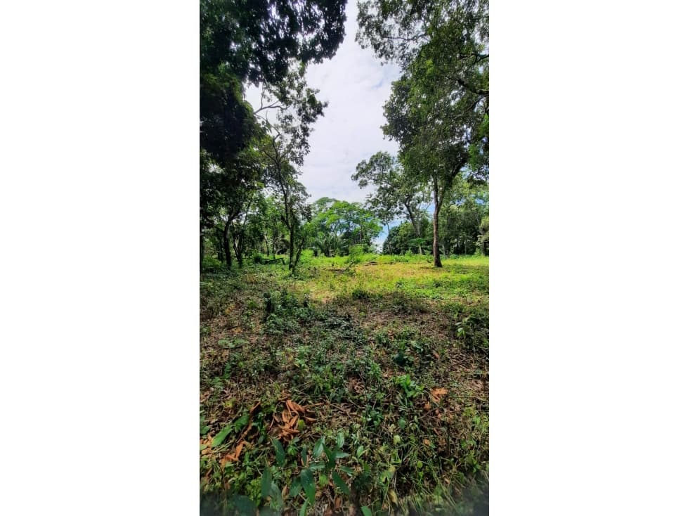 Venta de Terreno el Los Algarrobos, Dolega - 1