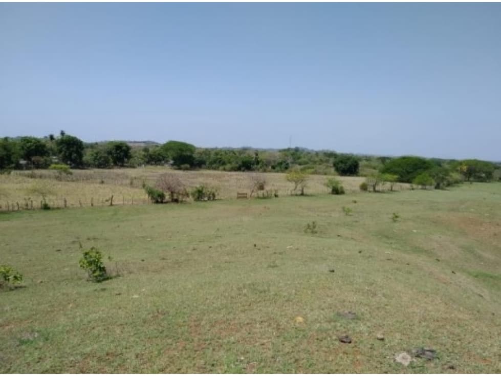 Venta de finca en Pesé, Herrera - 1