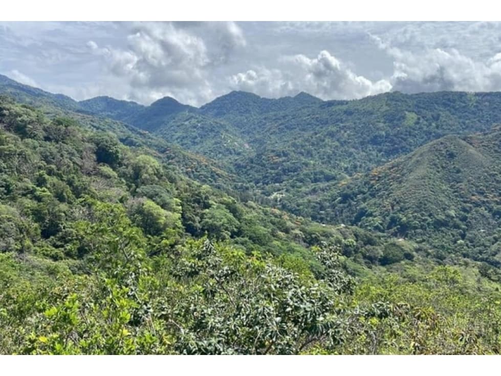 For sale 10 hectares in bella vista Penonome - 1