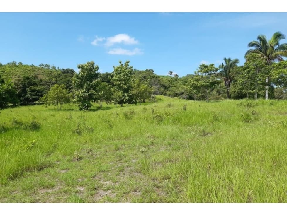 Sale Property in Ponuga, Veraguas Province: - 1