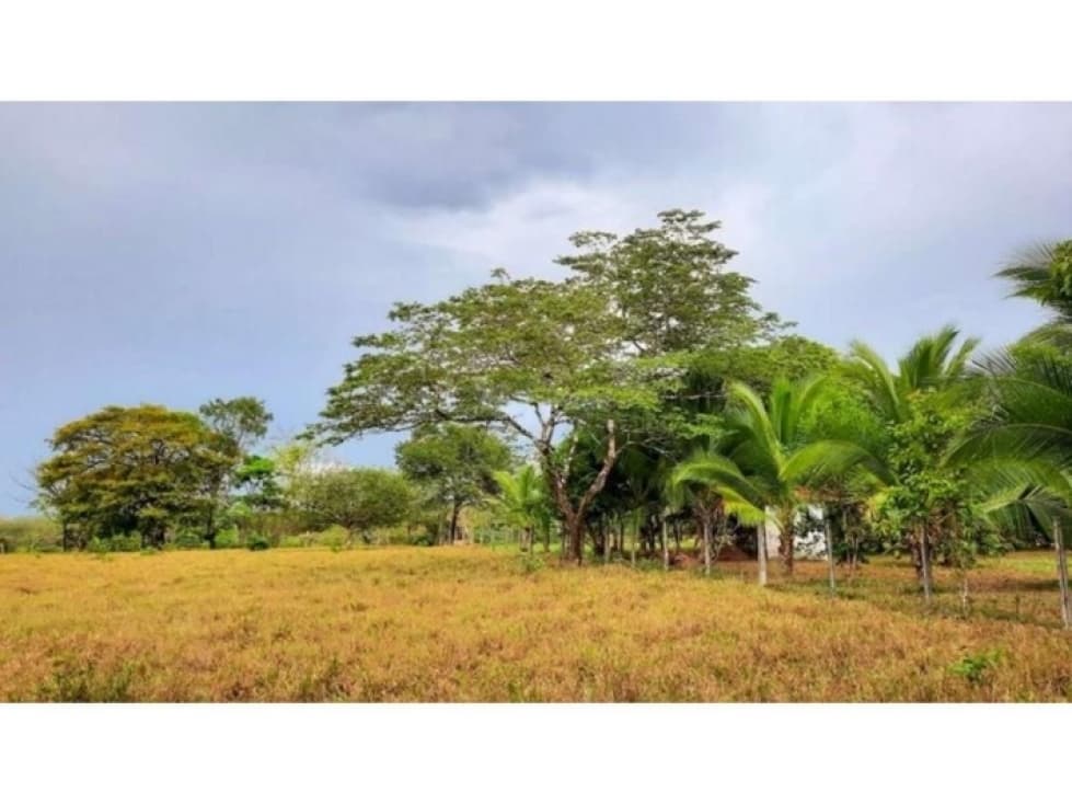 FOR SALE PROPERTY OF 5445 SQUARE METERS IN MARIATO, NEAR PLAYA REINA. - 1