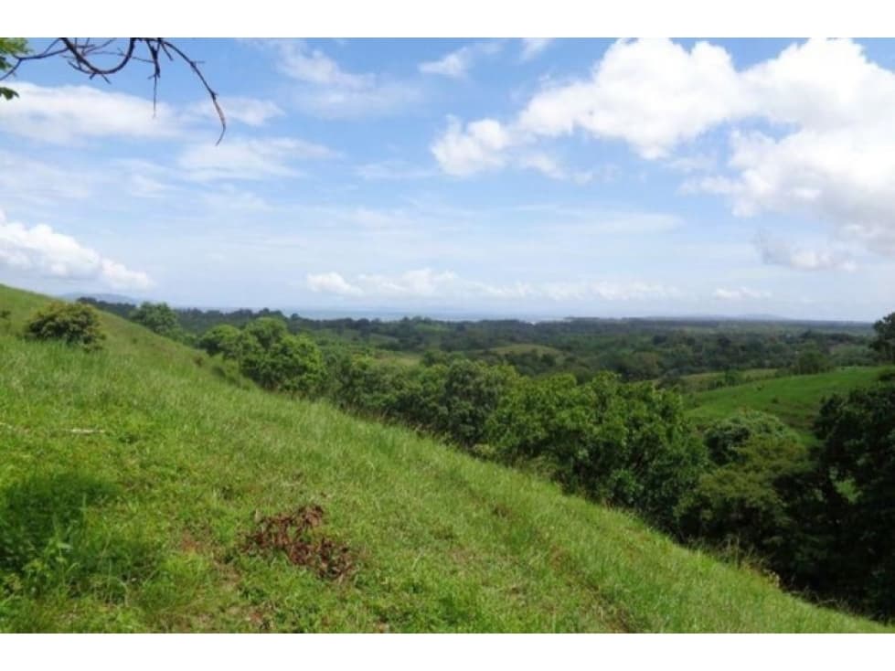 Large land for sale in Palo Seco, Mariato, Veraguas - 1