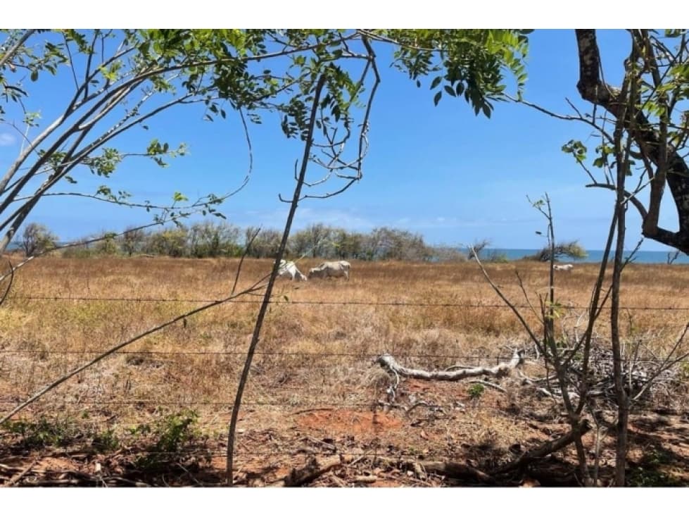 Land for sale in Playa La Candelaria, Pocri, Los Santos - 1