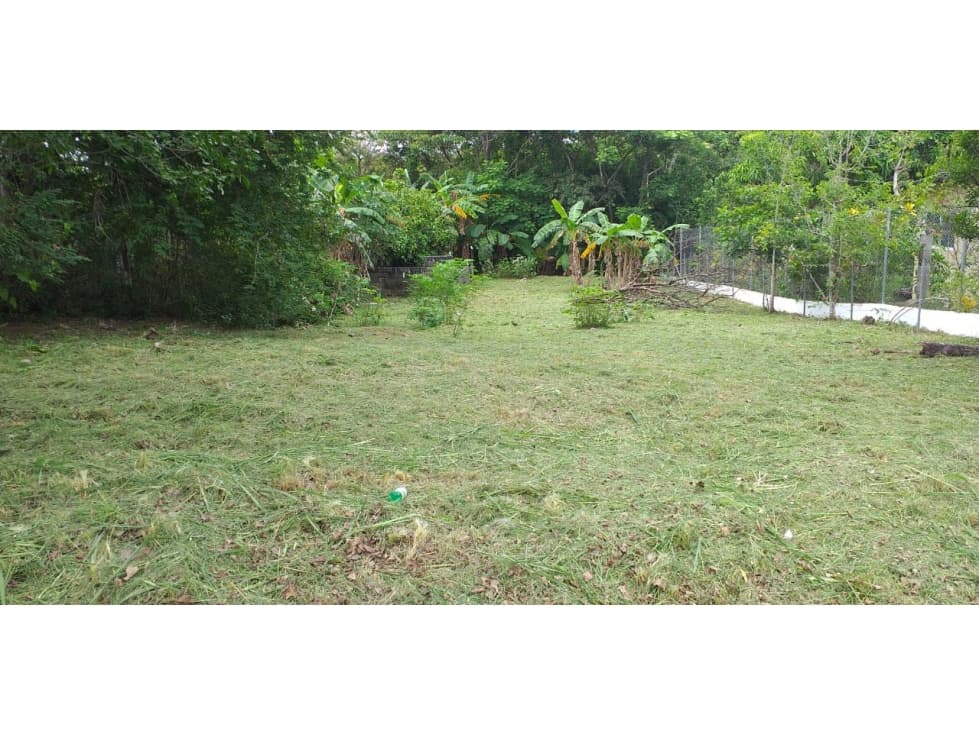TERRENO EN SAN CARLOS| 540 MTS | TODOS LOS SERVICIOS - 1