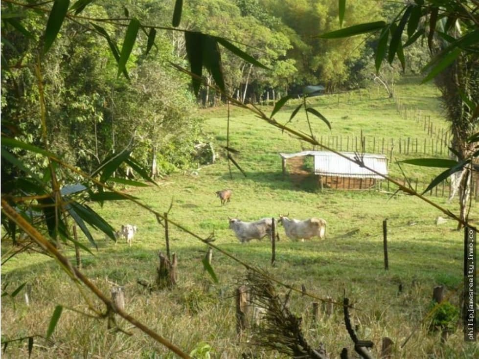 Venta: Finca de 525,000 m2 en Cerro Azul - 1