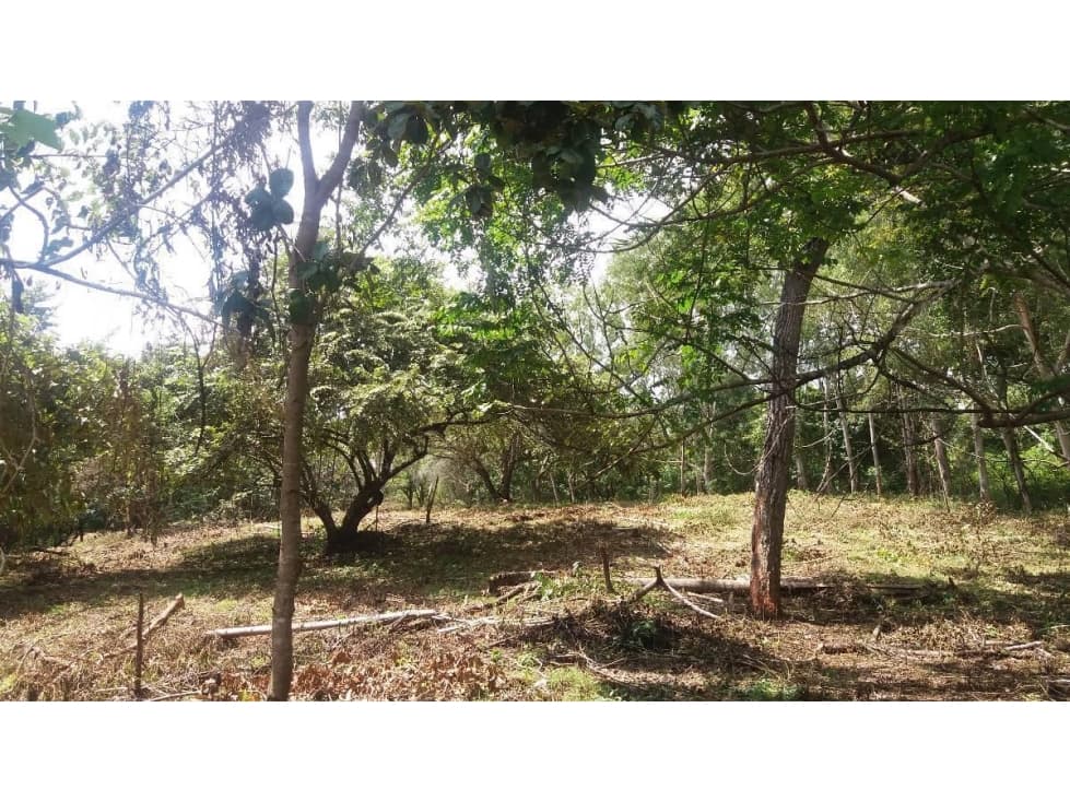Venta: terreno en Punta Barco, San José - 1