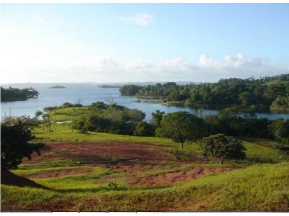 Venta: Finca de 100 Hectáreas frente al Lago Gatún - 1