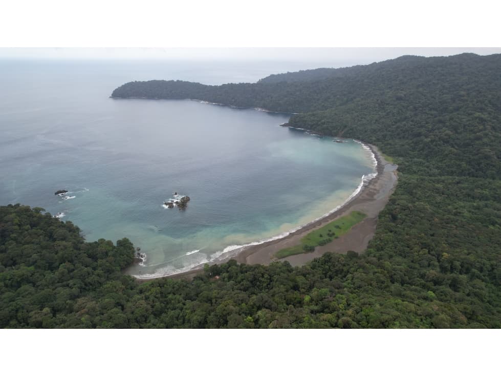 DARIEN / BAHIA PIÑA / 820 HECTAREAS / ISLA TOTALMENTE VIRGEN / AG - 1