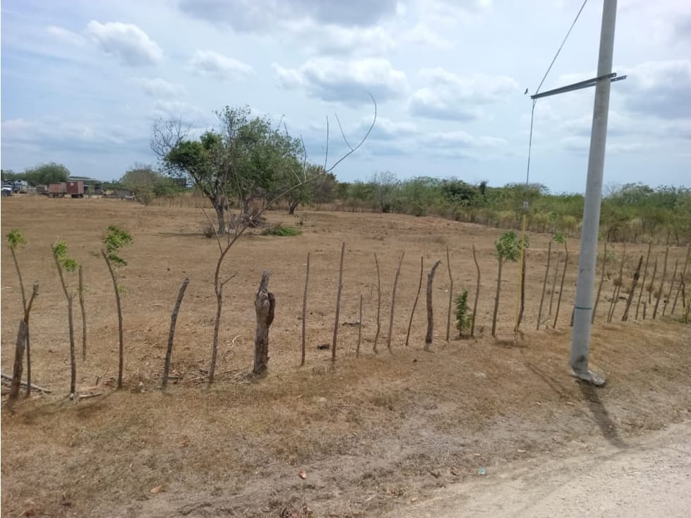 PENONOME / TERRENO / 3.538.81M2 - 1