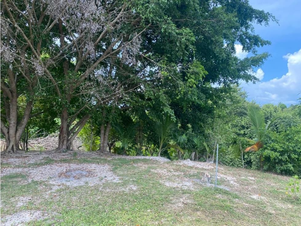 LAS GUIAS / COCLE / 8244 M / CERCA DE PANAMERICANA / PLAYA AG - 1