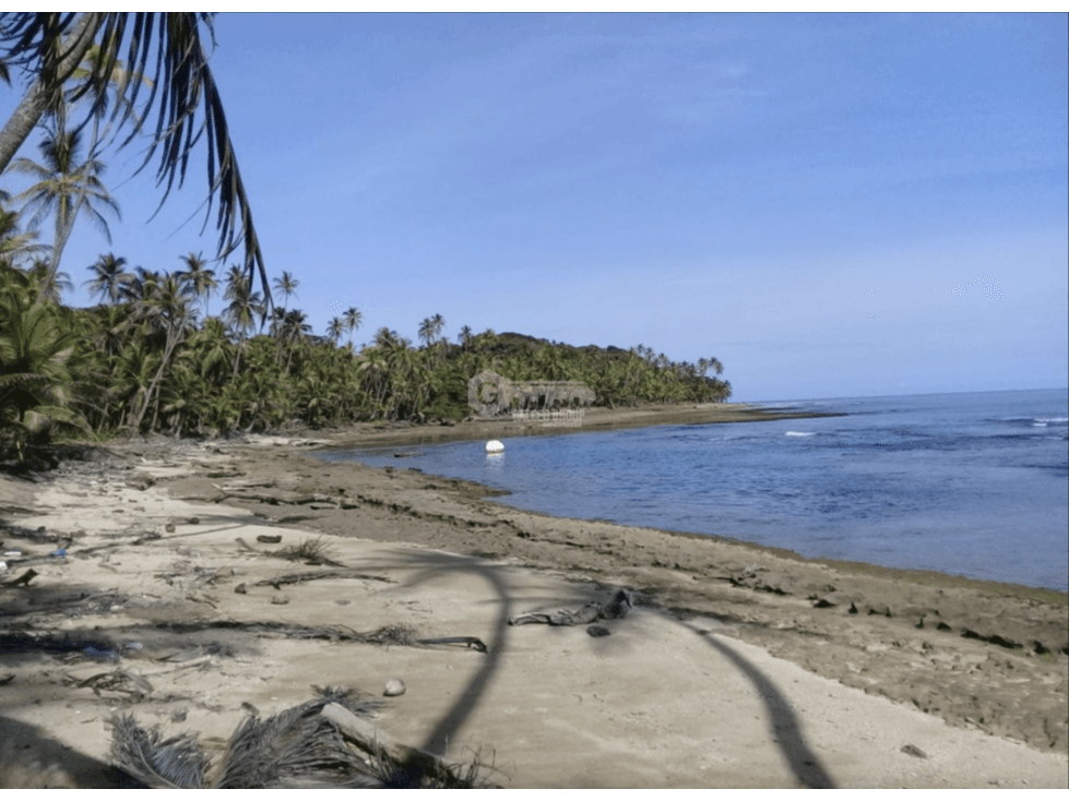COLON / PLAYA CHIQUITA / 100 HECTAREAS / PARA DESARROLLO FRENTE AL MAR - 1