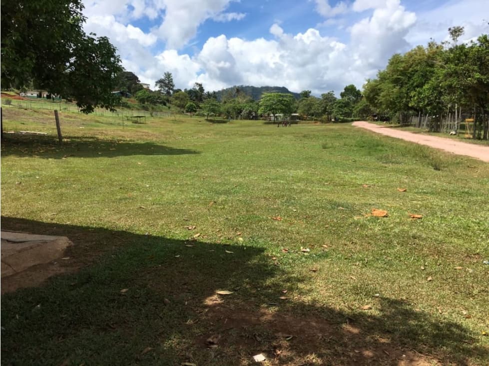 COCLE / PENONOME / FINCA GANADERA 146 HECTAREAS / RIOS / QUEBRADAS - 1