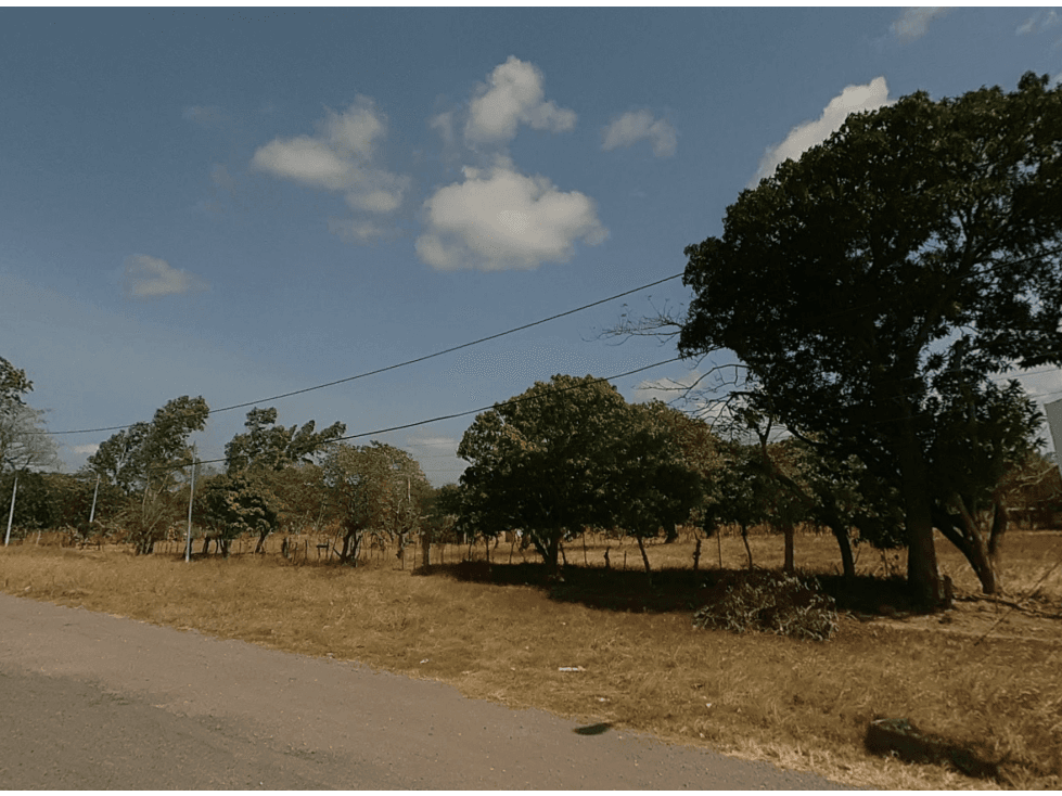SE VENDE TERRENO DE 1.6 HECTAREAS EN COCLE NATA SOBRE INTERAMERICANA - 1