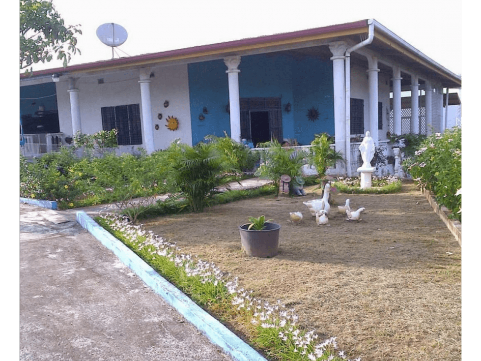 CHEPO / LA HIGUERA / 2396M2 / 4 HAB / BOHIO / BAR / PISCINA / TERRAZA - 1