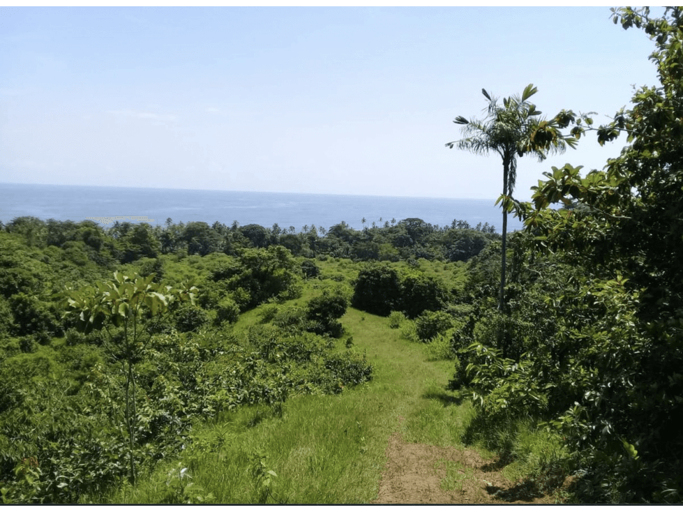 COLON / PLAYA CHIQUITA / 100 HECTAREAS / PARA DESARROLLO FRENTE AL MAR - 1