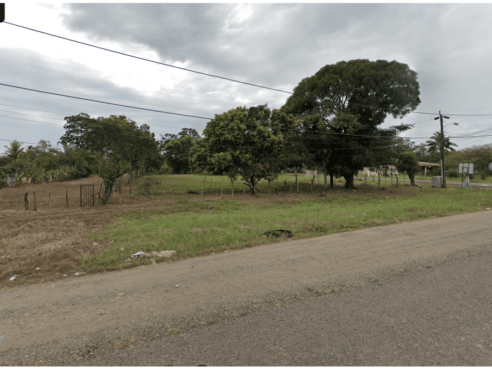 COCLE / NATA / EL ROBLAR / TERRENO 1.6 HECTAREA / SOBRE INTERAMERICANA - 1