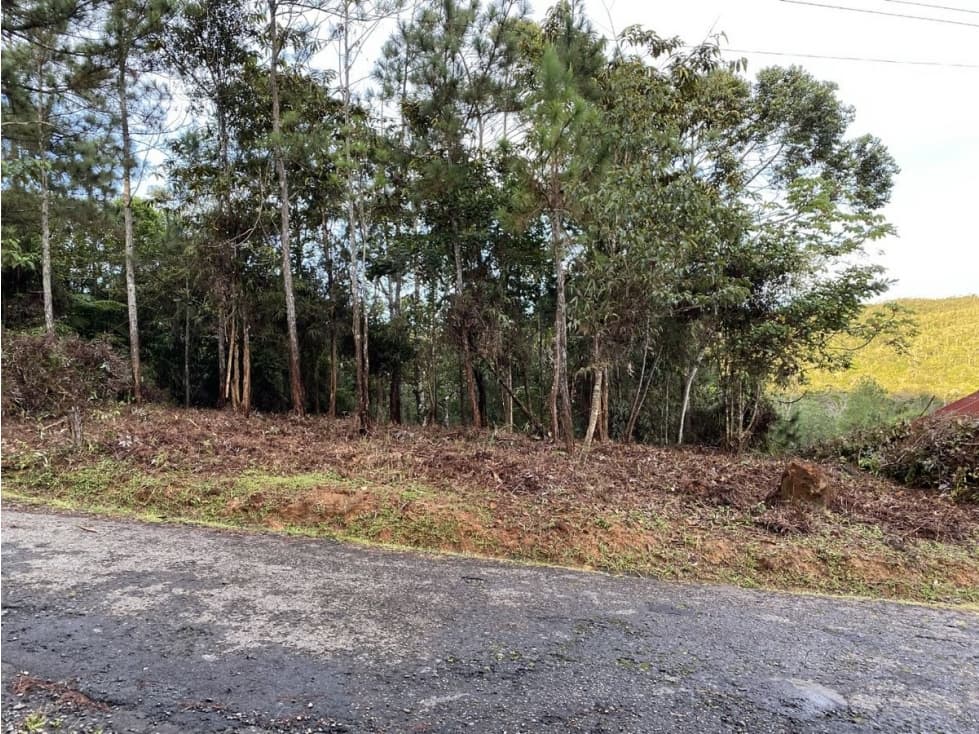 CERRO AZUL / FINCA ALTOS DEL GUARDIAN / 1844 M2 - 1