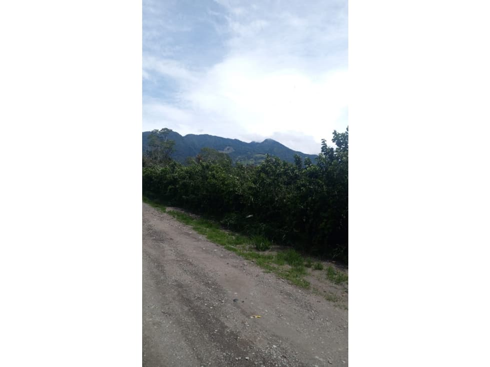 TERRENO / BOQUETE / PALMIRA / 5133M2 / CLIMA FRIO - 1