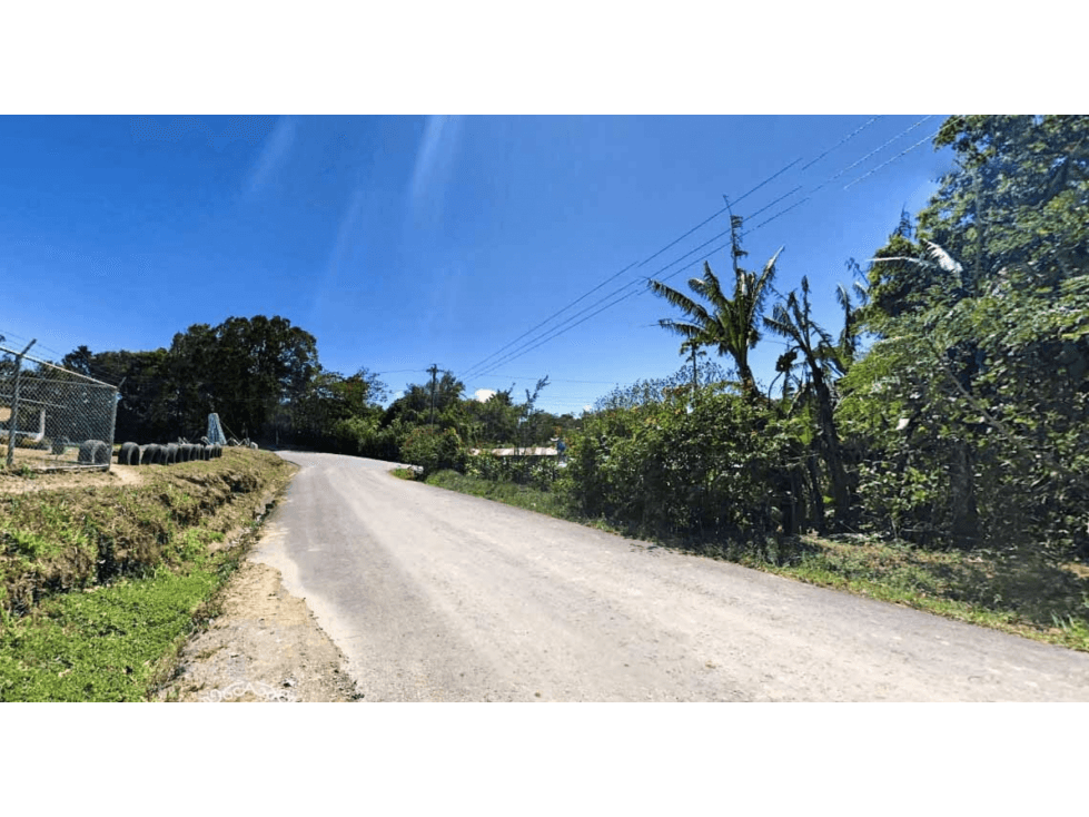 CHIRIQUI / BOQUETE / PALMIRA ABAJO / TERRENO / 1 HECTAREA - 1