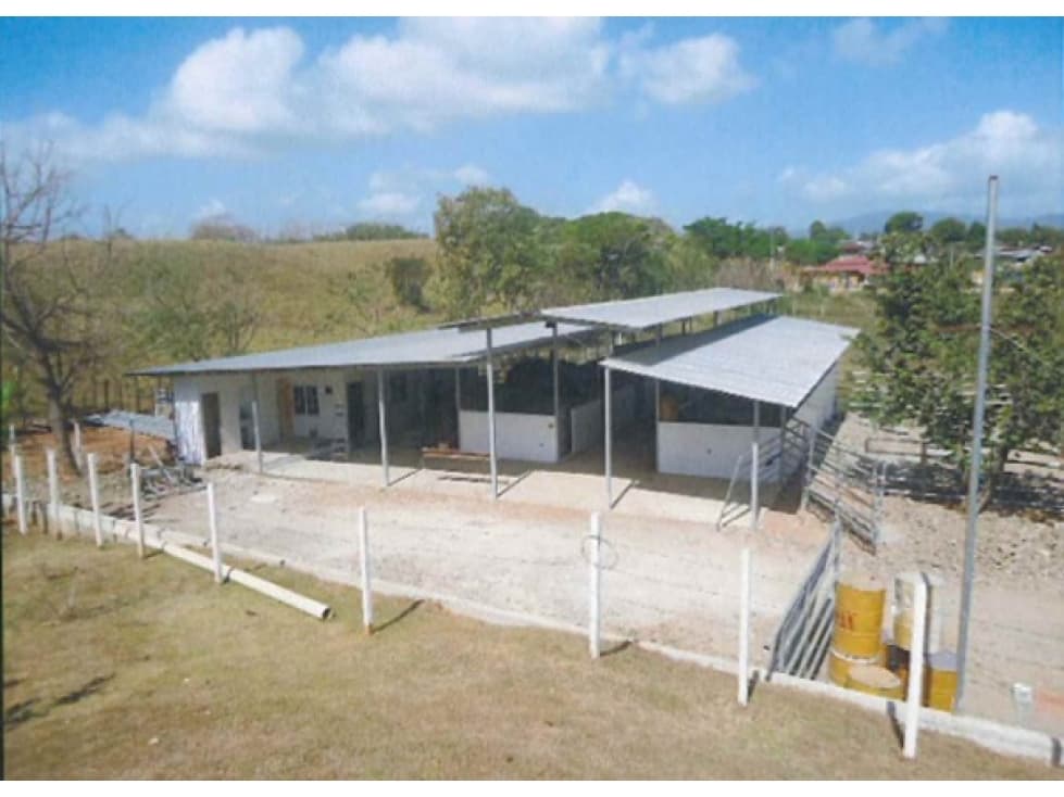 CHEPO / LOMA DEL RIO / 1.6 HECTAREA / CASA / ESTABLO / PISCINA - 1