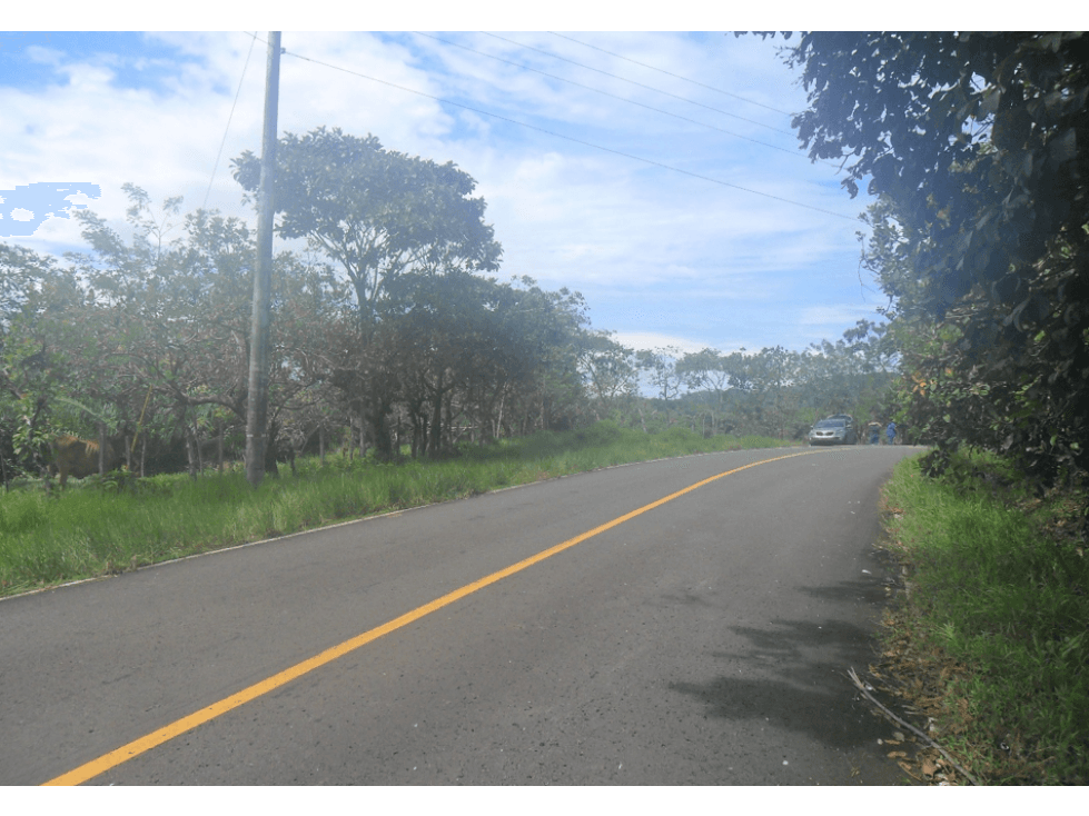 COLON / COSTA ARRIBA / NOMBRE DE DIOS / FINCA / 124 HECTAREAS - 1